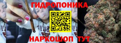 прущие крисы Моздок